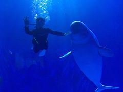 -多彩贵州城极地海洋世界