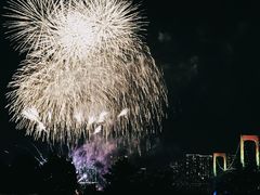 -台场海滨公园船码头