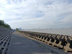 -上海滨江森林公园