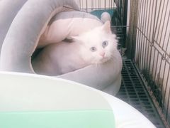 -美肴冰品·汉堡·牛腩饭(总店)