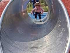 -春花秋色城市公园