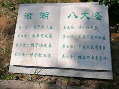 -微山湖红荷湿地景区