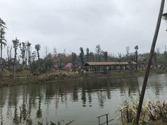 -枫香湖儿童公园