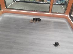 -翠微百货(龙德店)