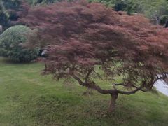 -上海虹桥迎宾馆
