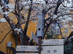 -龙华寺