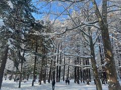 -北海道神宫