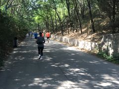 -森林公园(尖草坪区)