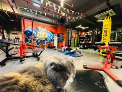 -KingBull私教健身&格斗订制(龙井商业中心店)