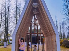 -铁山坪森林公园