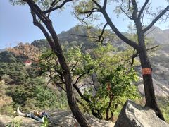 -泰山风景名胜区