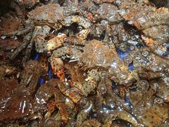 -79号渔船海鲜饭店(华强北店)