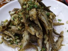 -全乐鱼馆·淳牌有机鱼直营店