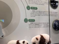 -四川大学博物馆