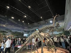 -自贡恐龙博物馆