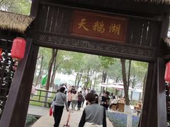 -艾溪湖湿地公园