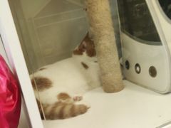 -沐沐家宠物(成寿寺店)