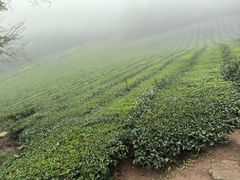 -敬亭山风景名胜区