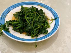 炝拌苜蓿-巴依老爷·新疆美食(上城区天城路店)