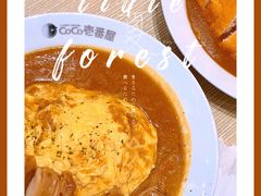 -CoCo壱番屋
