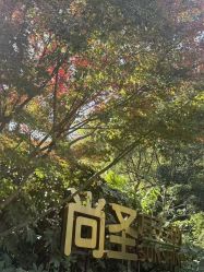 -尚圣月子会所·庄园式月子中心(萧山湘湖店)