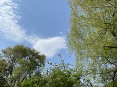 -北陵公园