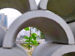 -金山公园
