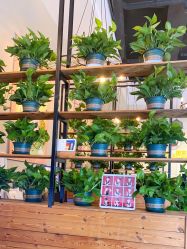 -江阴偶来路儿童摄影(江阴市新体育中心体育场店)