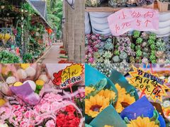 -KKV(深圳宏发大仟里店)