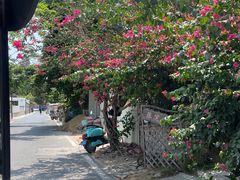 -三亚西岛海洋文化旅游区