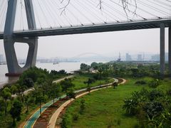 -芒洲湿地公园