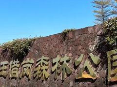 -王借岗森林公园