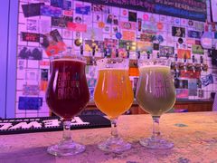 -ZING鲸鱼啤酒(葡萄院店)