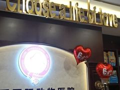 -宠爱国际动物医院·疑难骨科·心肾内科·皮肤科(太阳宫店)