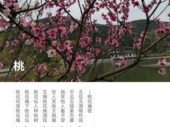 -孙武文化园-停车场