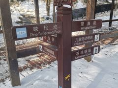 -大连植物园