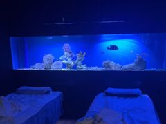 -避尘 Bsense·SPA(新会展总店)