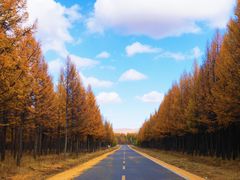 -塞罕坝国家级自然保护区