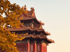 -故宫博物院(故宫)