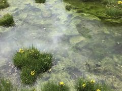 -稻城亚丁景区-冲古草甸