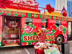 -盛京大奥莱(沈阳奥体店)