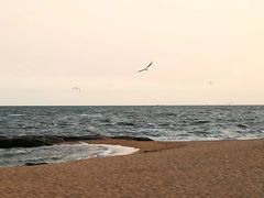 -北戴河东海水浴场