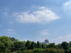 -莲花池公园
