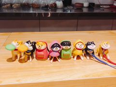 -柴务处·柴犬主题狗咖