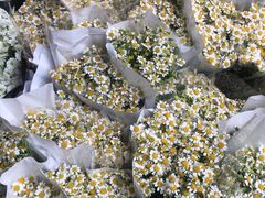 -循礼门鲜花花市(武汉循礼门店)