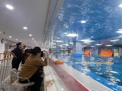 -蓝旗亲子游泳(贵阳中心店)