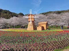 -苏州上方山国家森林公园