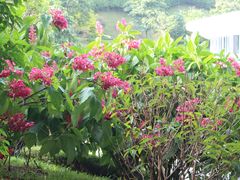 -云溪植物园