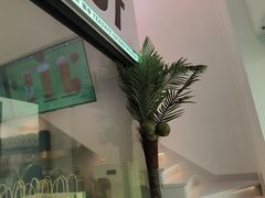 -茶大椰·椰子茶(星悦荟店)