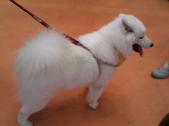 IMAG0663-东浩兰生上海世博展览馆